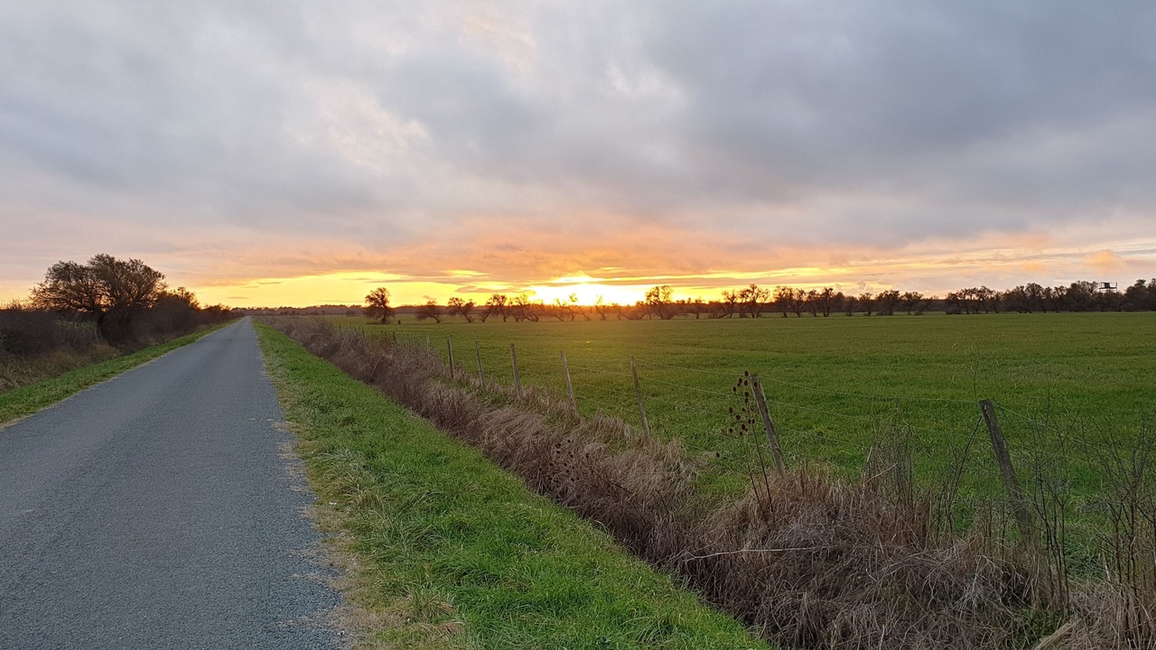 Photo of Outdoor in Listrac-Medoc