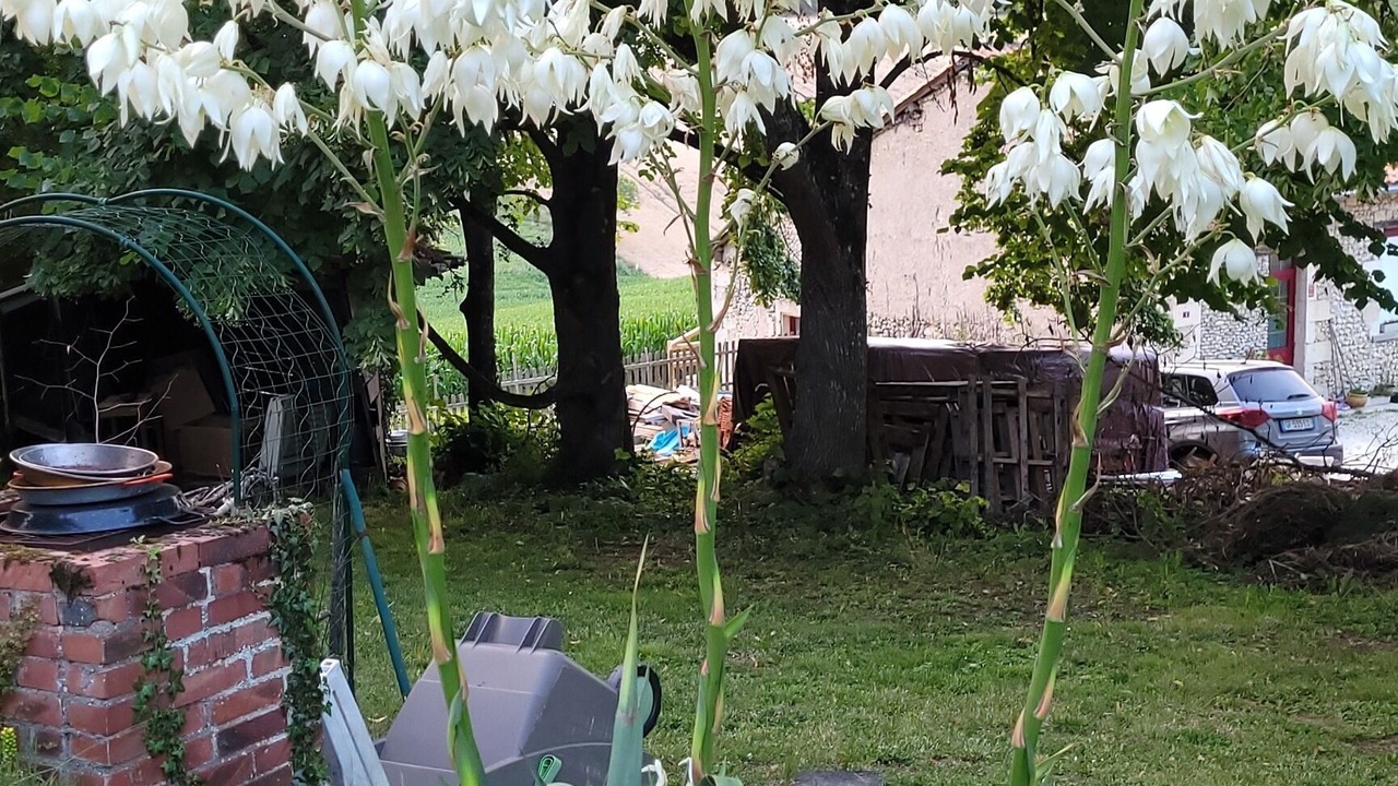 Photo of Outdoor in Douchapt