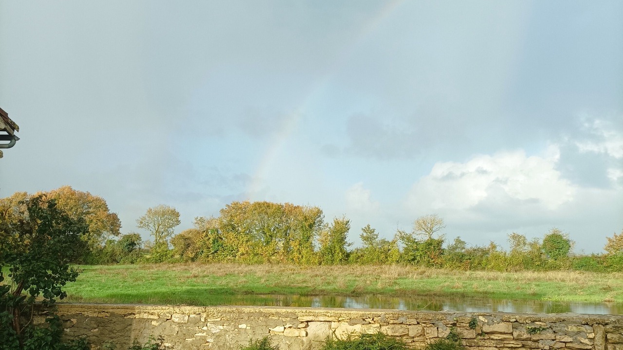 Photo of Others in Asnieres-en-Poitou