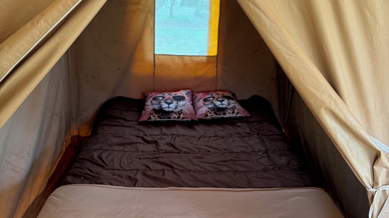 Photo of Bedroom in Esnandes