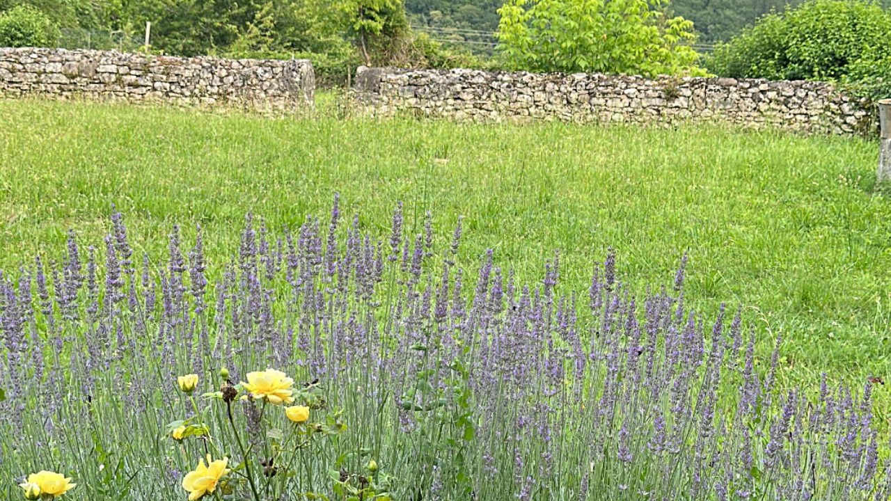 Photo of Outdoor in Beynac-et-Cazenac