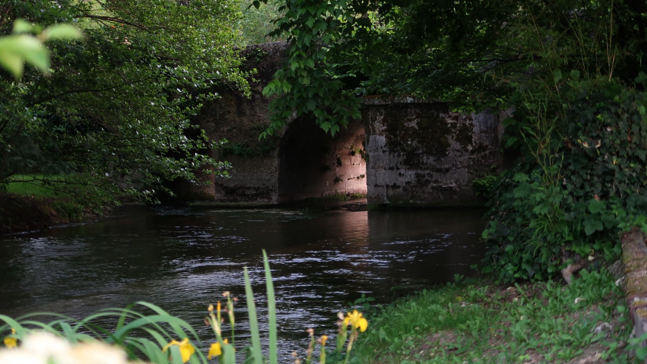 Photo of Outdoor in Saint-Aulaye-Puymangou