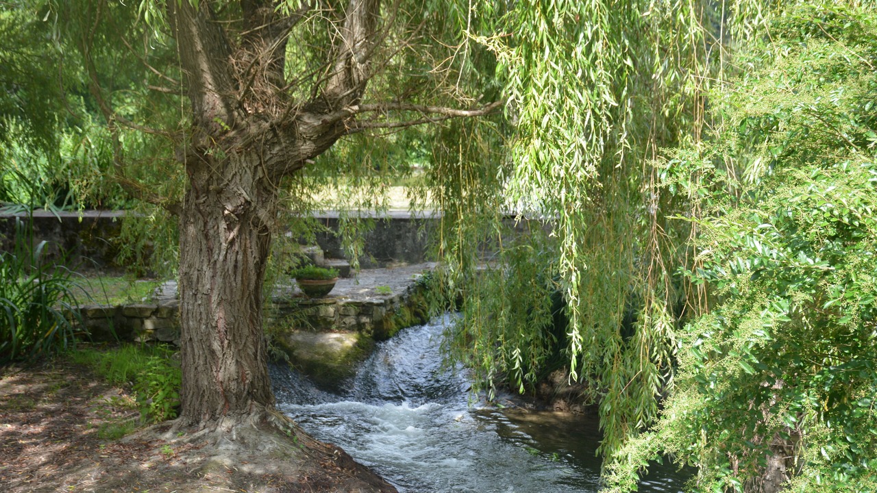 Photo of Others in Saint-Aulaye-Puymangou