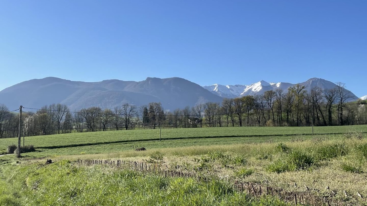 Photo of Outdoor in Asson