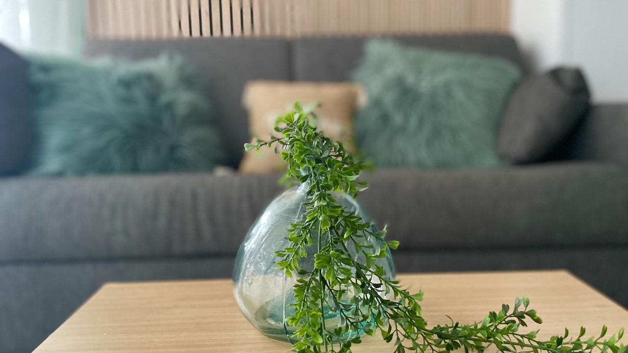 Photo of Livingroom in Ciboure