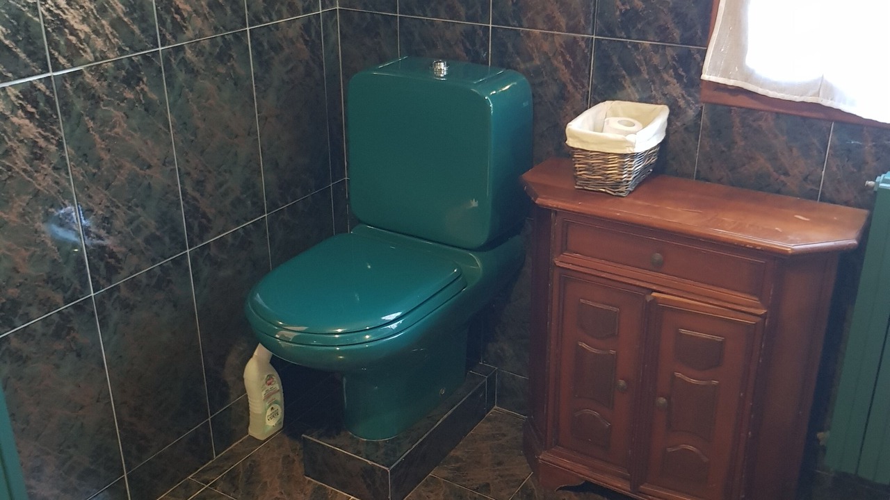 Photo of Bathroom in Plazac