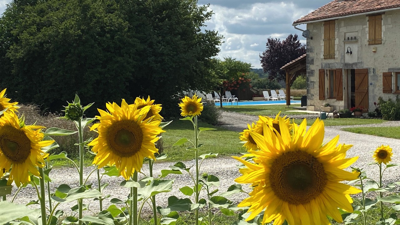 Photo of Outdoor in Saint-Severin