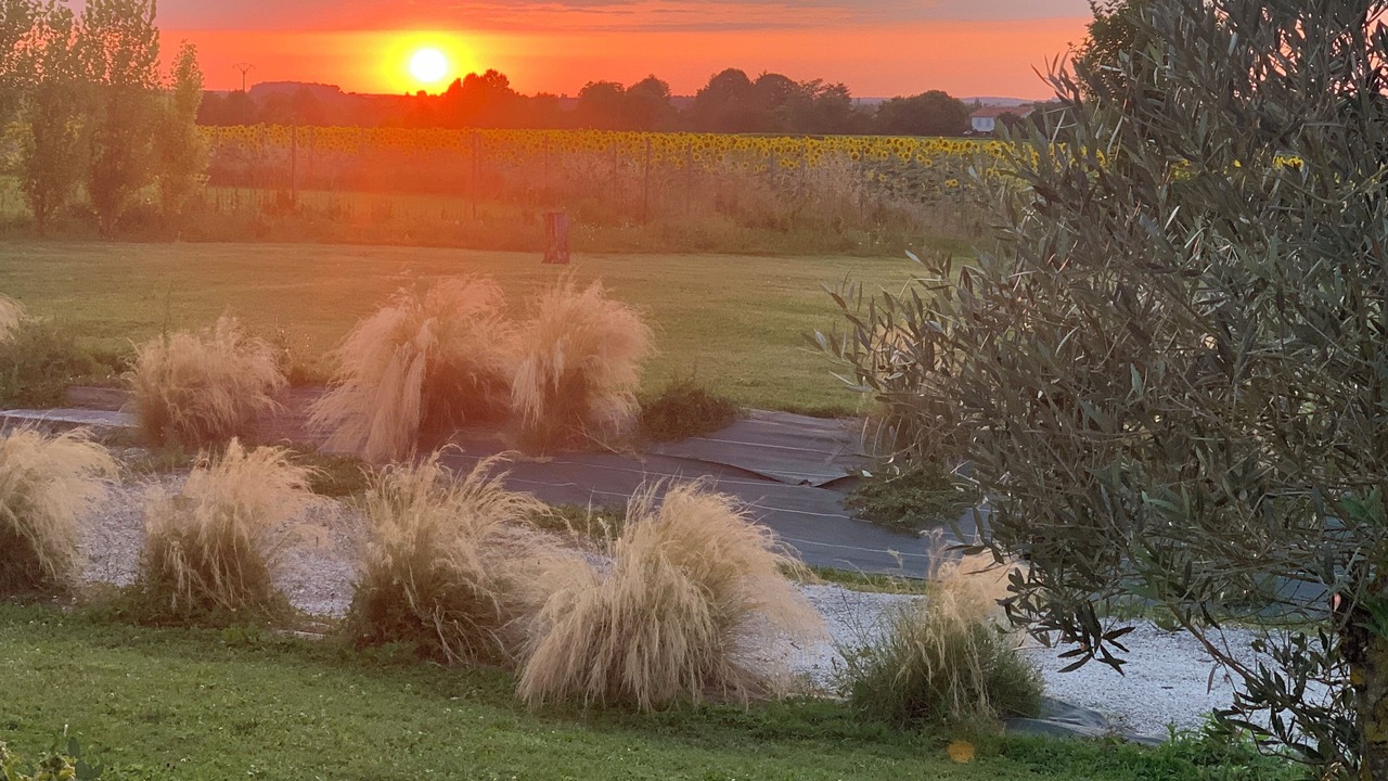 Photo of Outdoor in Barbezieux-Saint-Hilaire
