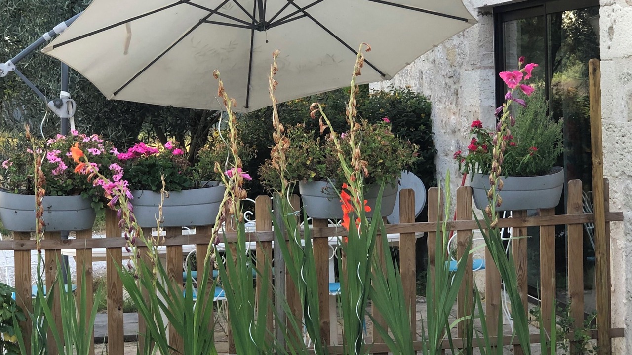 Photo of Patio Balcony in Puymirol