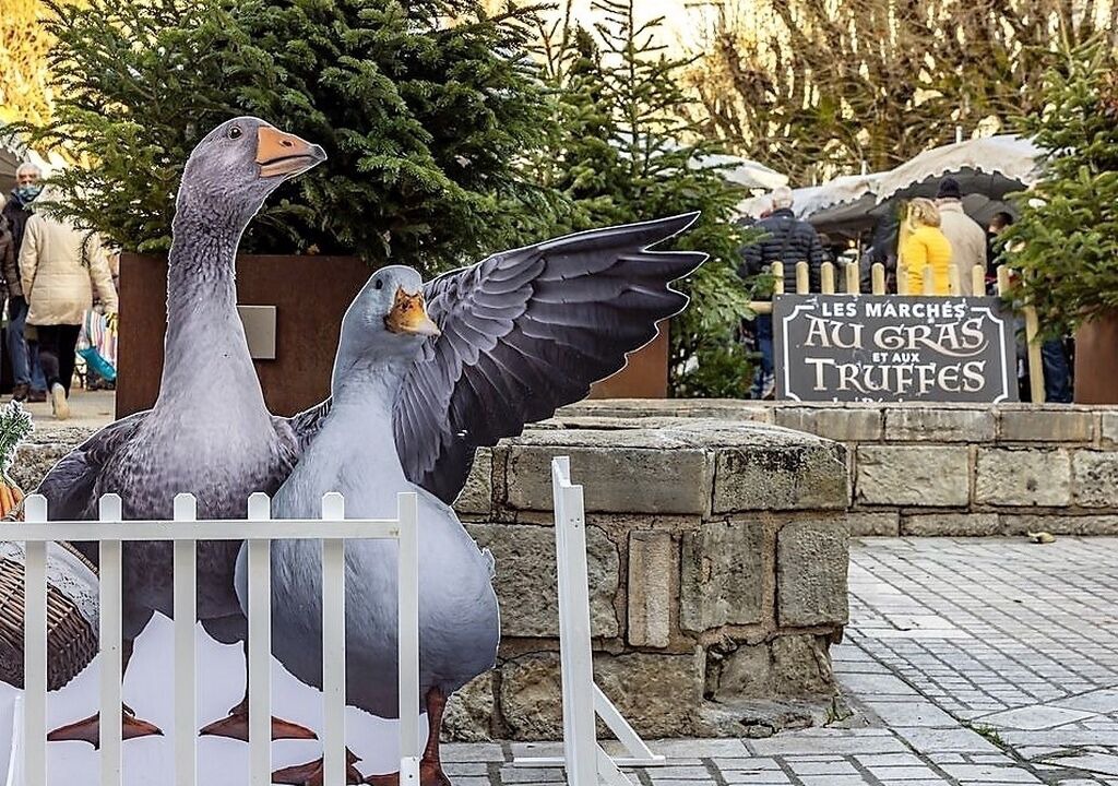 Photo of Outdoor in Perigueux