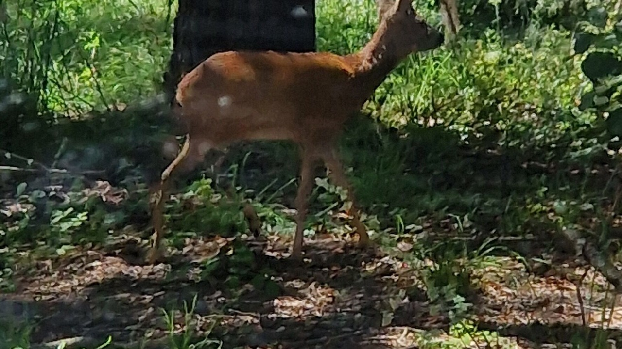 Photo of Outdoor in La Remigeasse