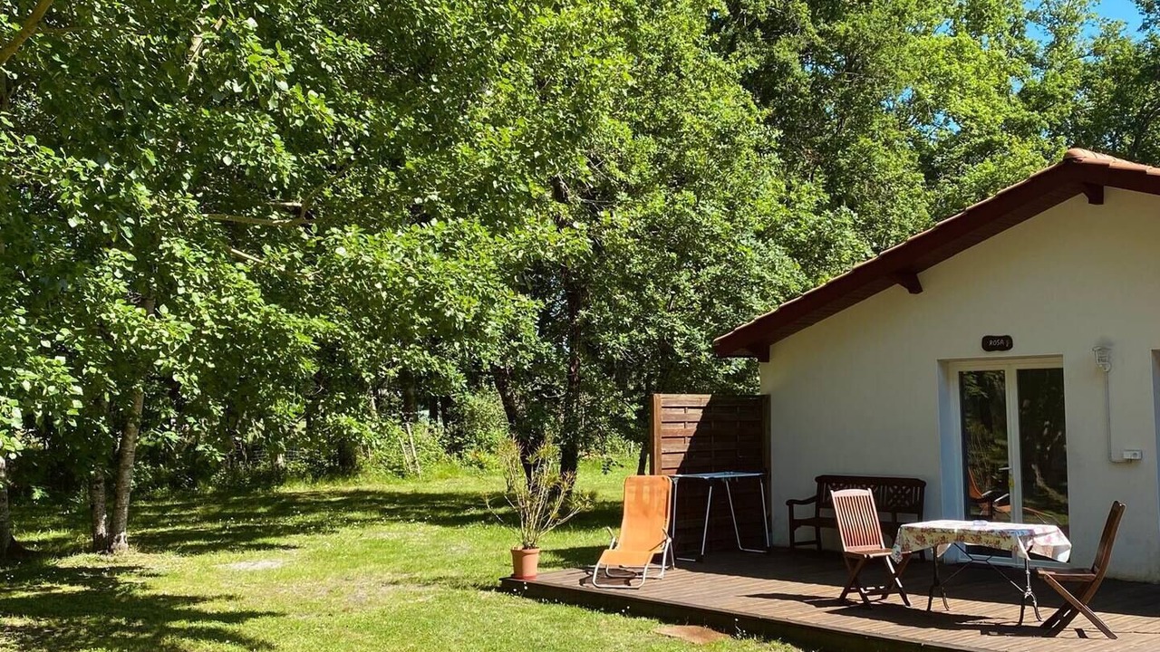 Photo of Outdoor in Brach