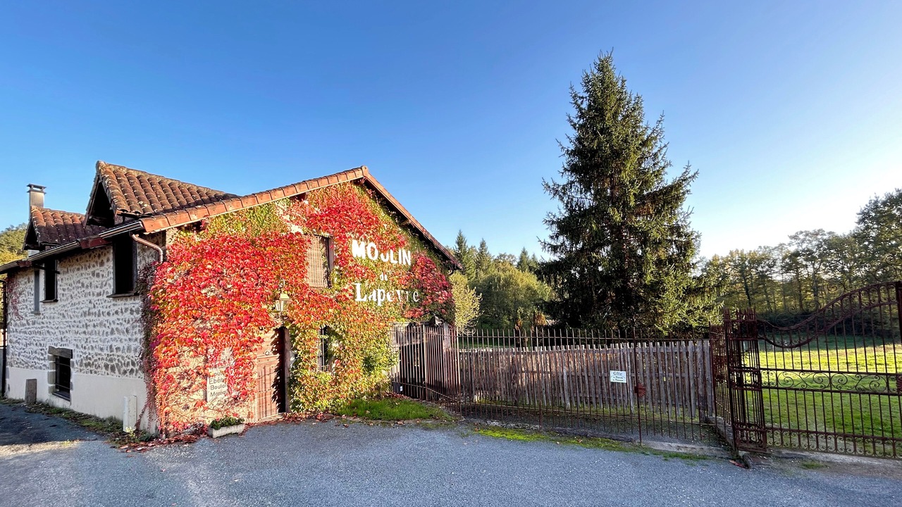 Photo of Outdoor in Saint-Estephe