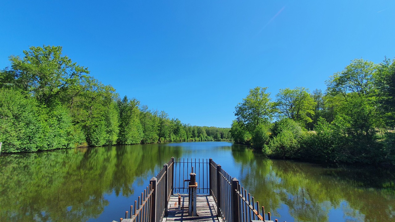Photo of Outdoor in Saint-Estephe