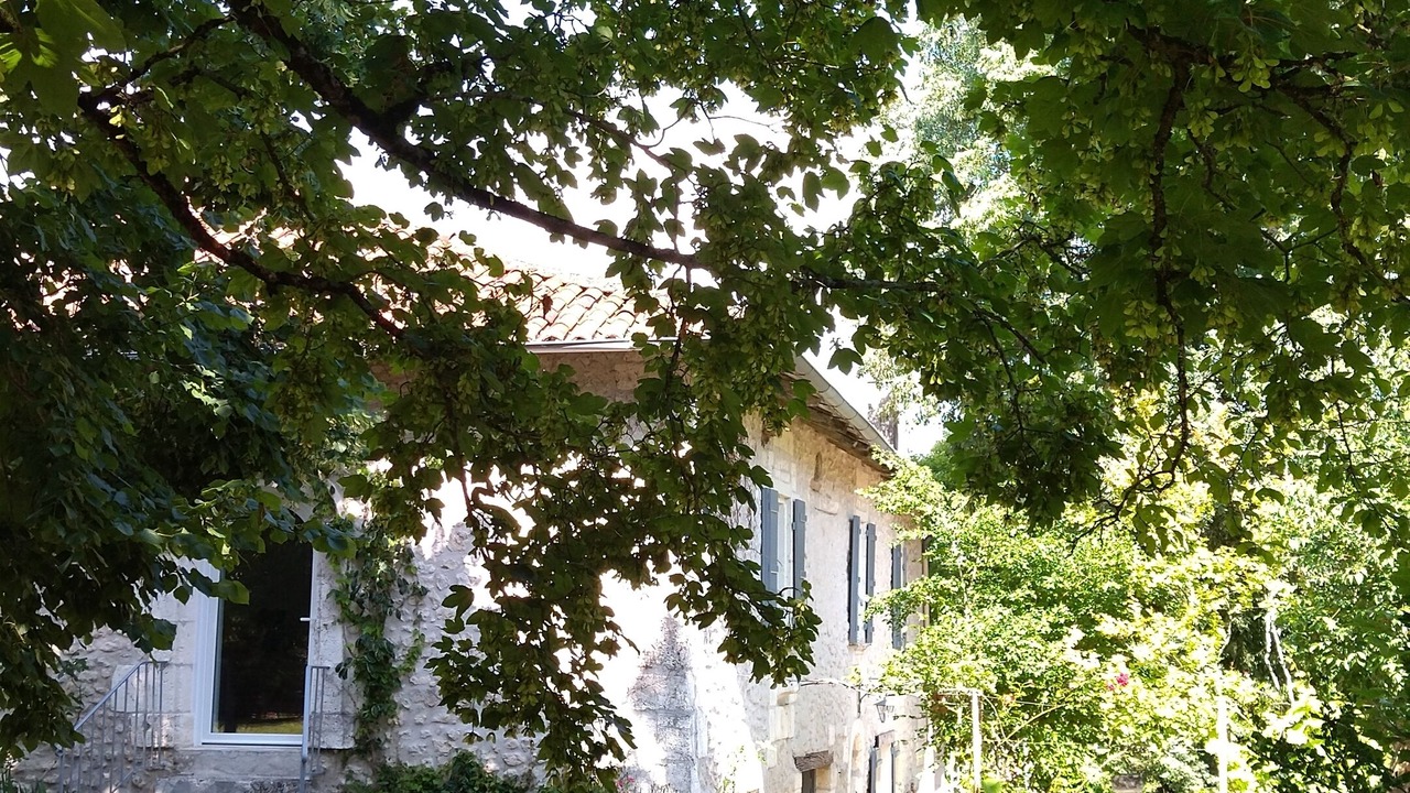 Photo of Outdoor in Bertric-Buree