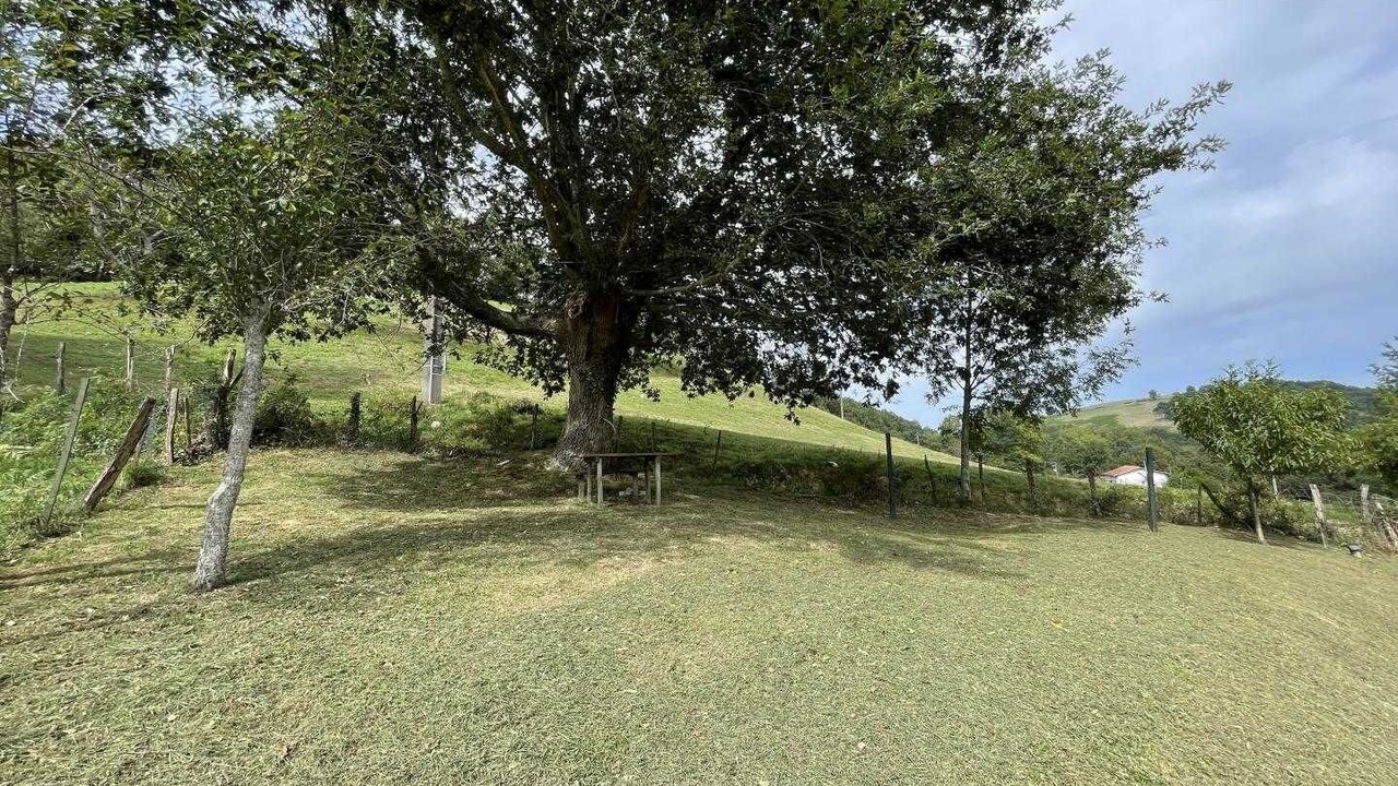Photo of Outdoor in Espelette