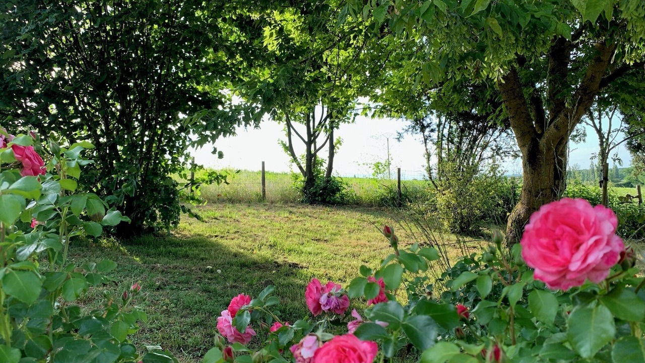 Photo of Outdoor in Challignac