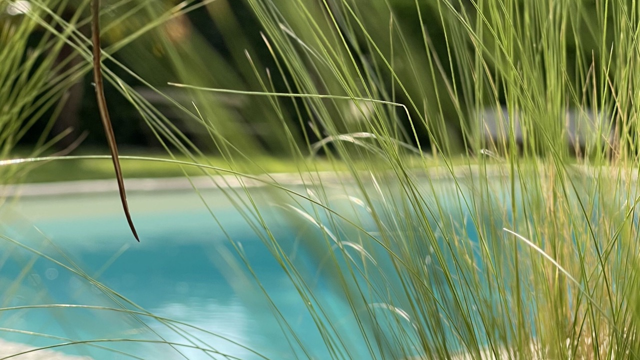 Photo of Outdoor in Vaux-sur-Mer