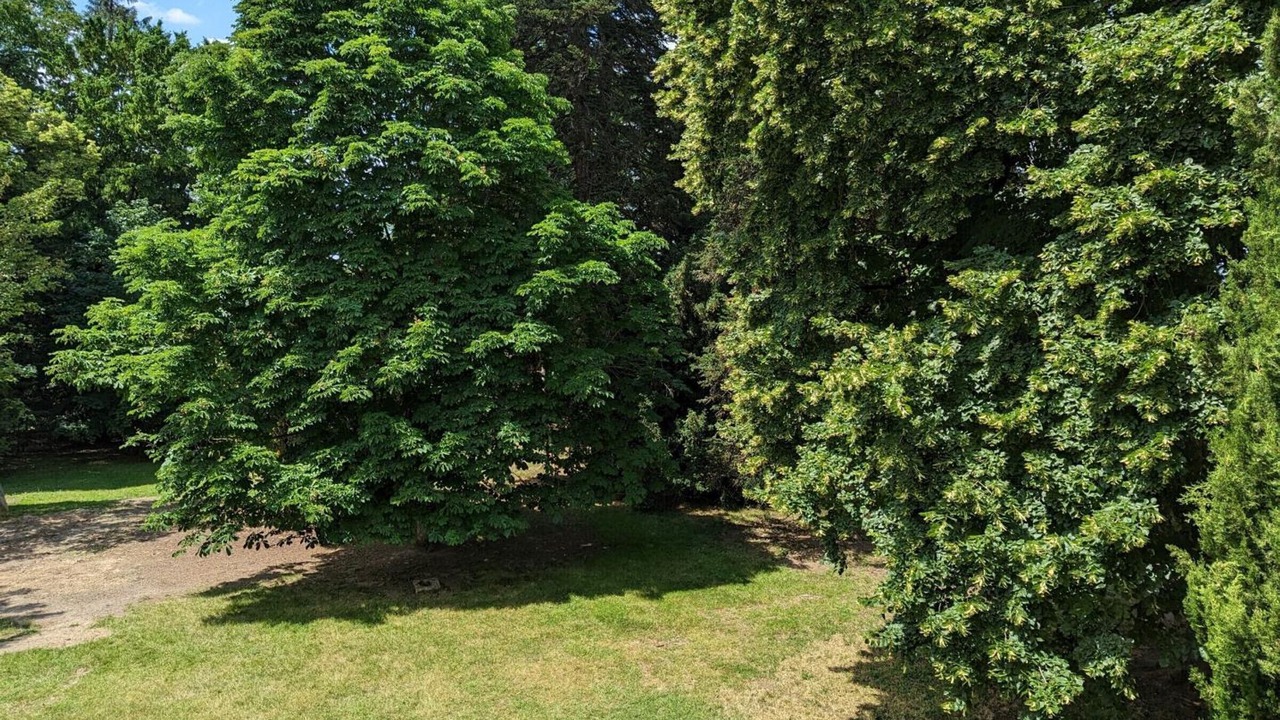 Photo of Outdoor in Chadurie