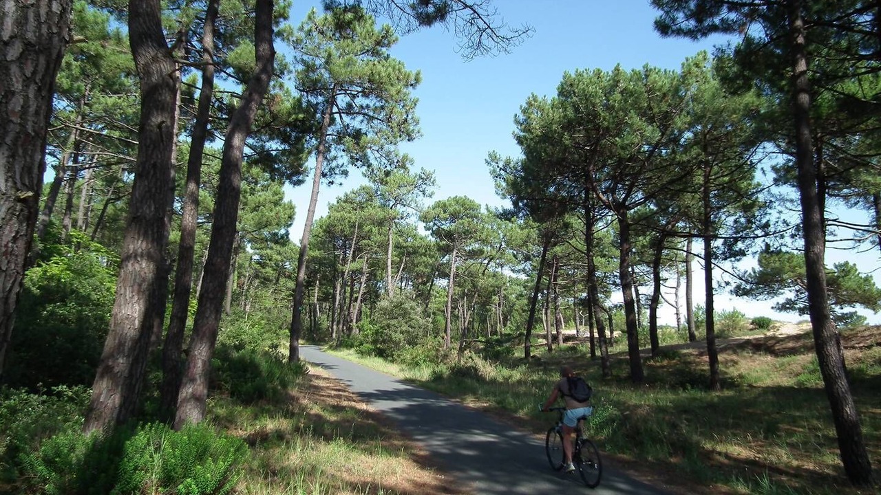 Photo of Outdoor in Ronce-les-Bains