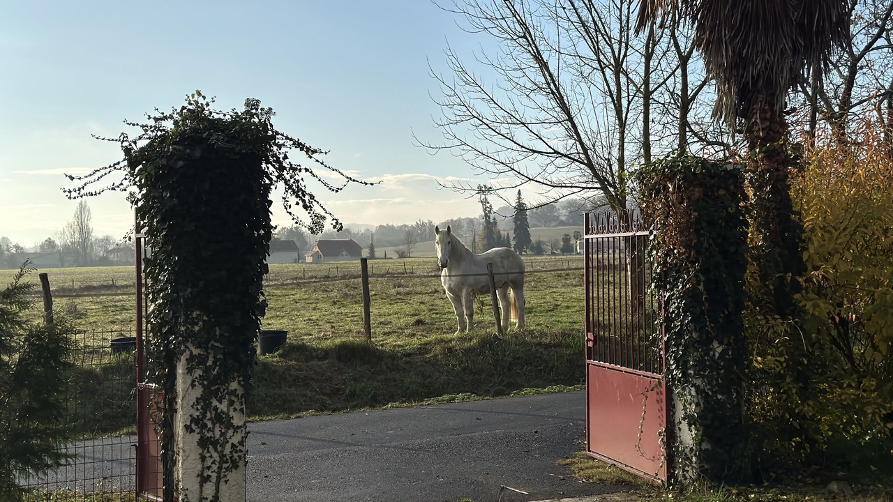Photo of Outdoor in Tadousse-Ussau