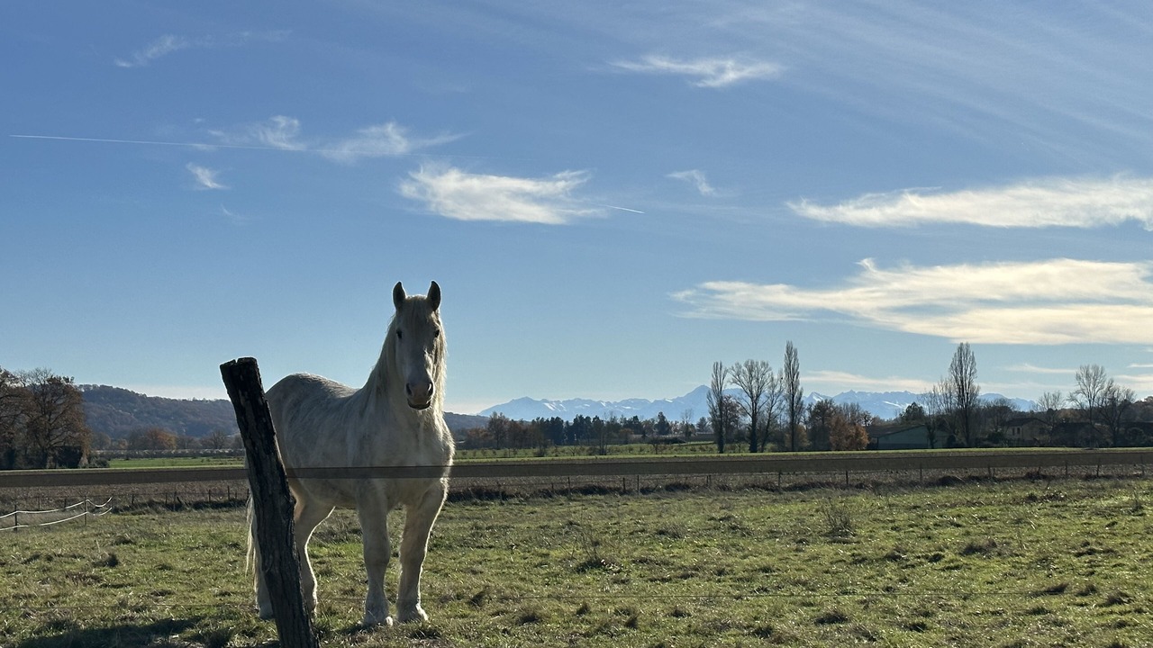 Photo of Outdoor in Tadousse-Ussau
