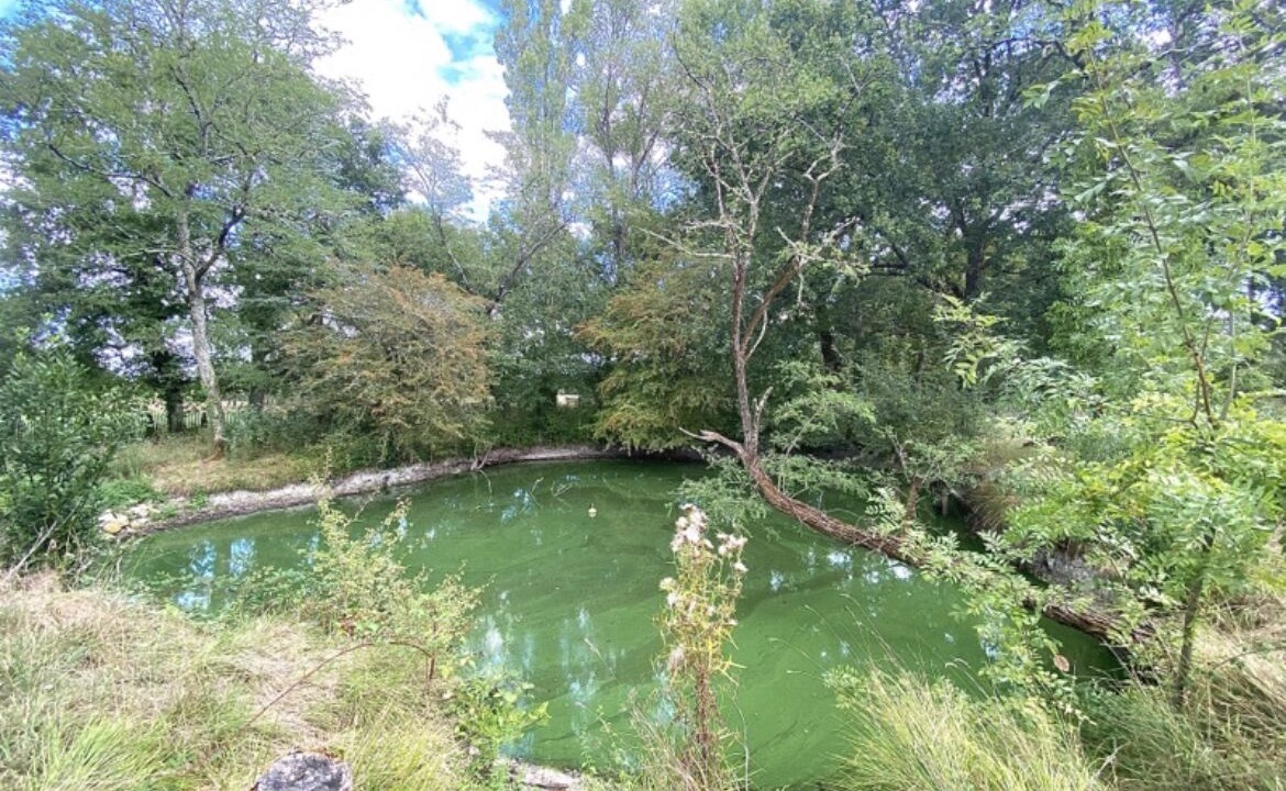 Photo of Outdoor in Saint-Yzan-de-Soudiac