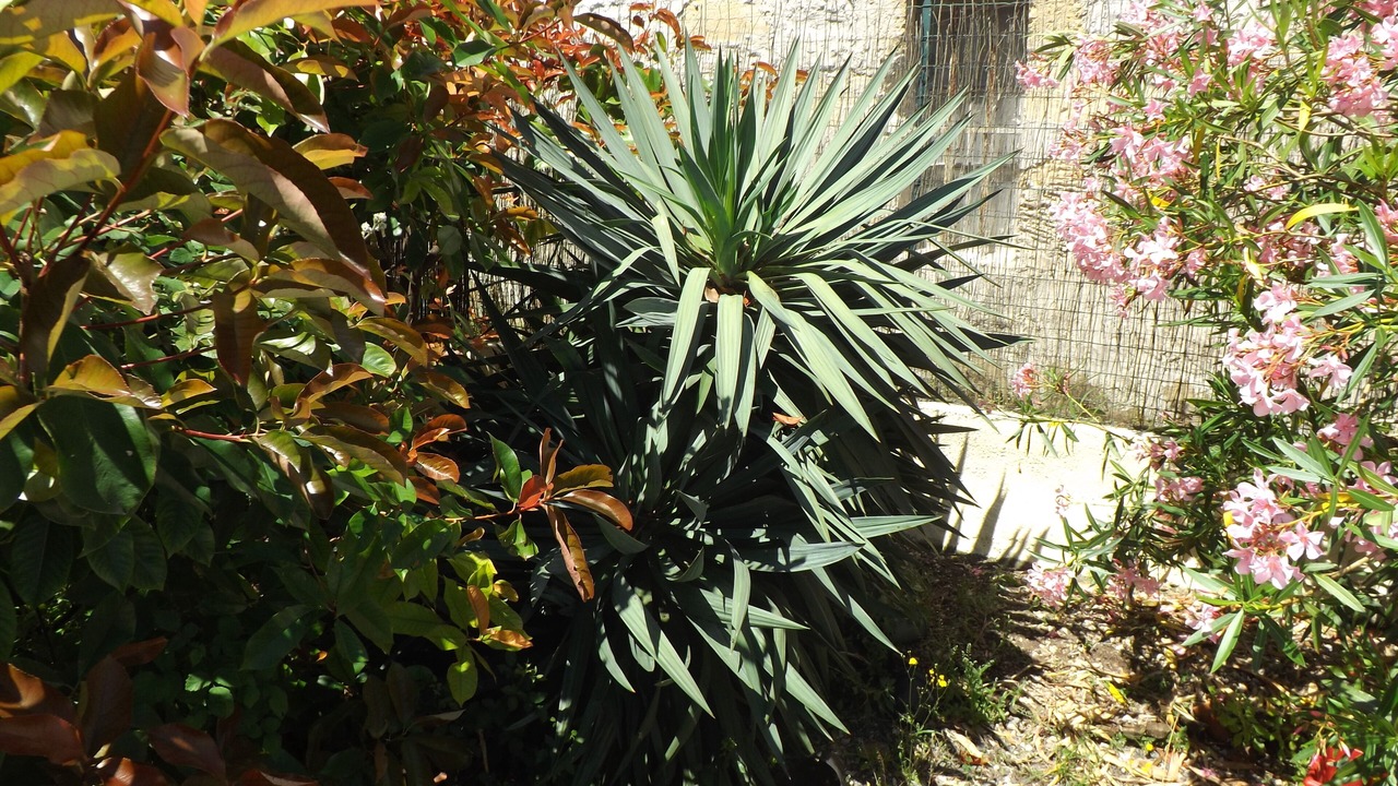 Photo of Outdoor in Saint-Andre-de-Cubzac