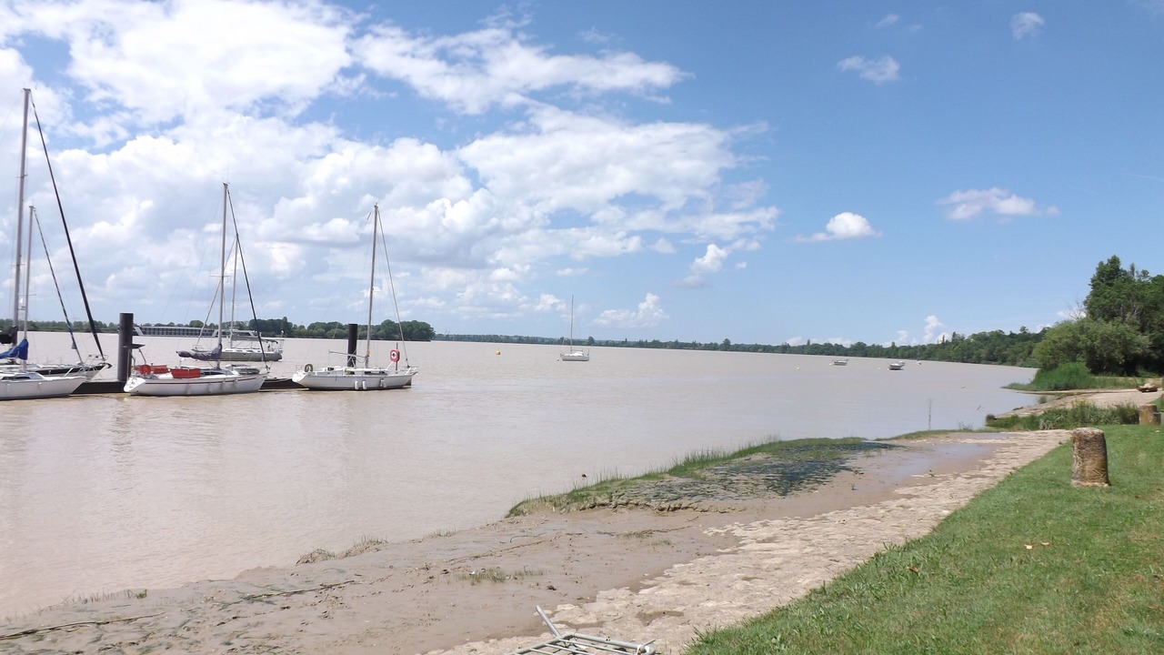 Photo of Others in Saint-Andre-de-Cubzac