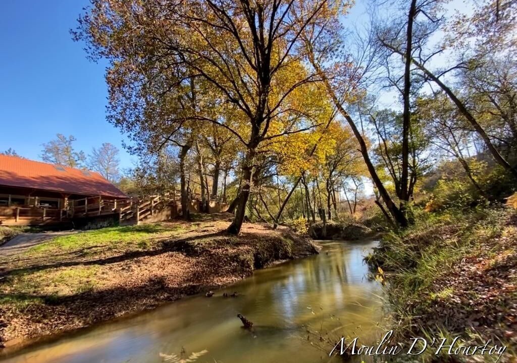 Photo of Outdoor in Moustey