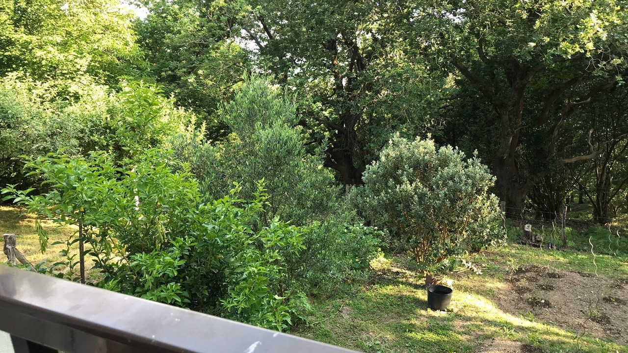 Photo of Outdoor in Sare