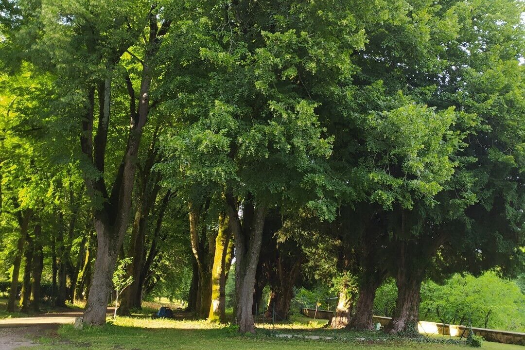 Photo of Others in Chasseneuil-sur-Bonnieure