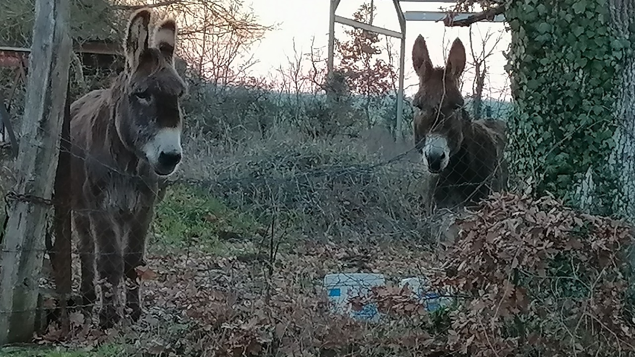 Photo of Others in Lavoux