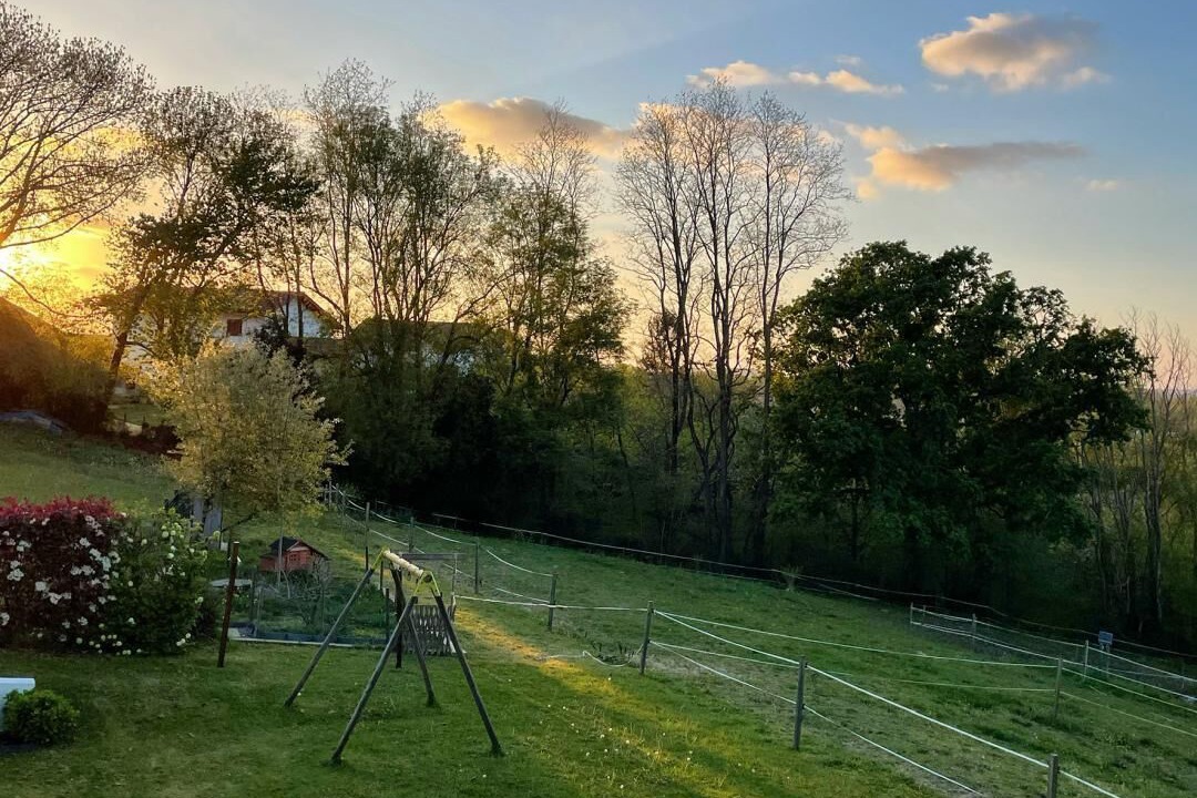 Photo of Outdoor in Ahetze