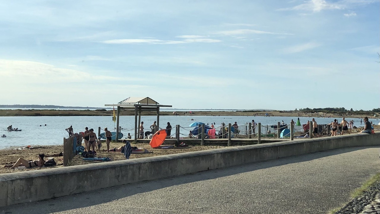 Photo of Others in Marennes