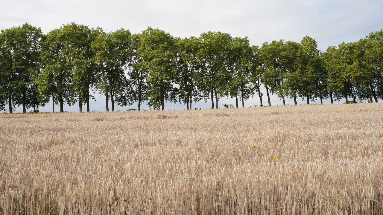 Photo of Others in Eygurande-et-Gardedeuil