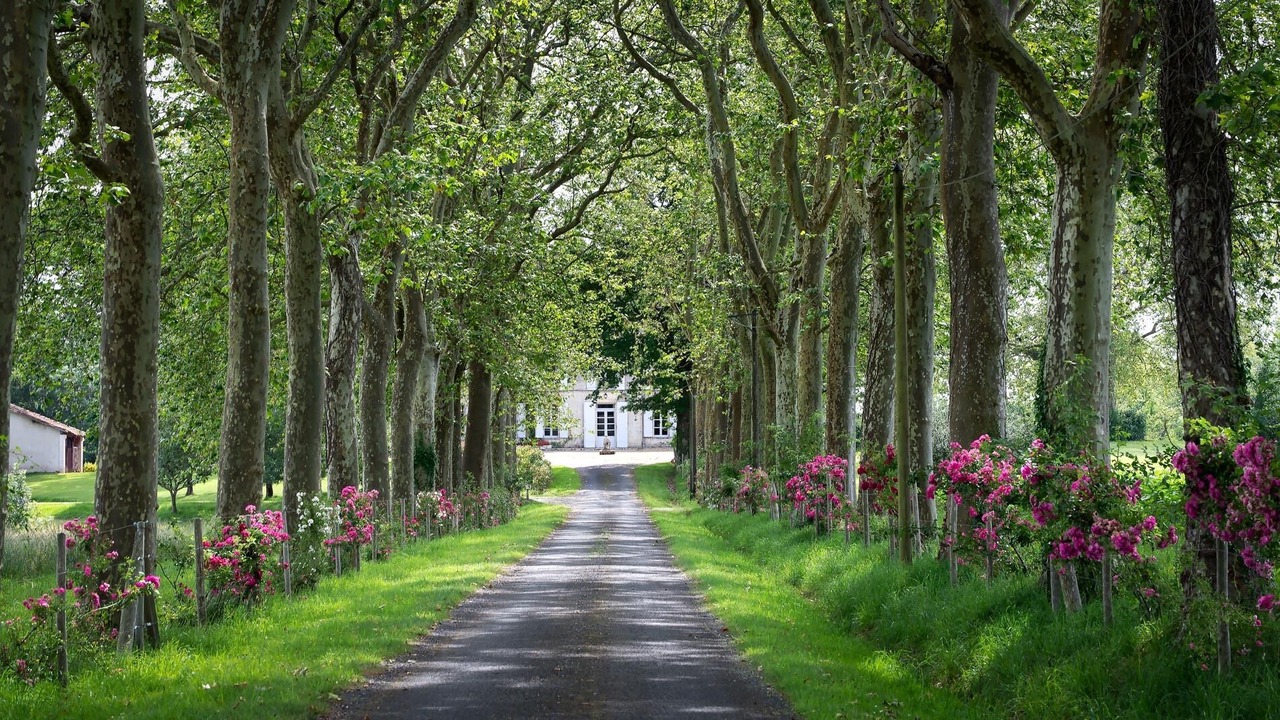 Photo of Outdoor in Eygurande-et-Gardedeuil