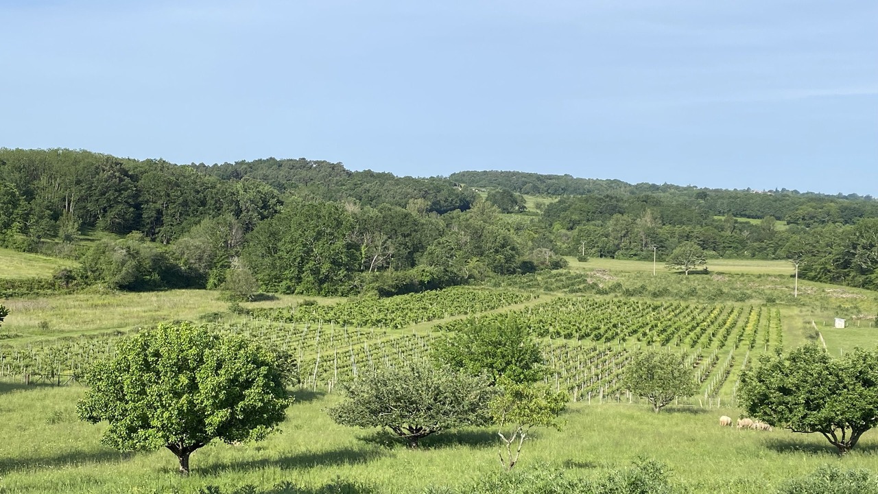 Photo of Outdoor in Gardegan-et-Tourtirac