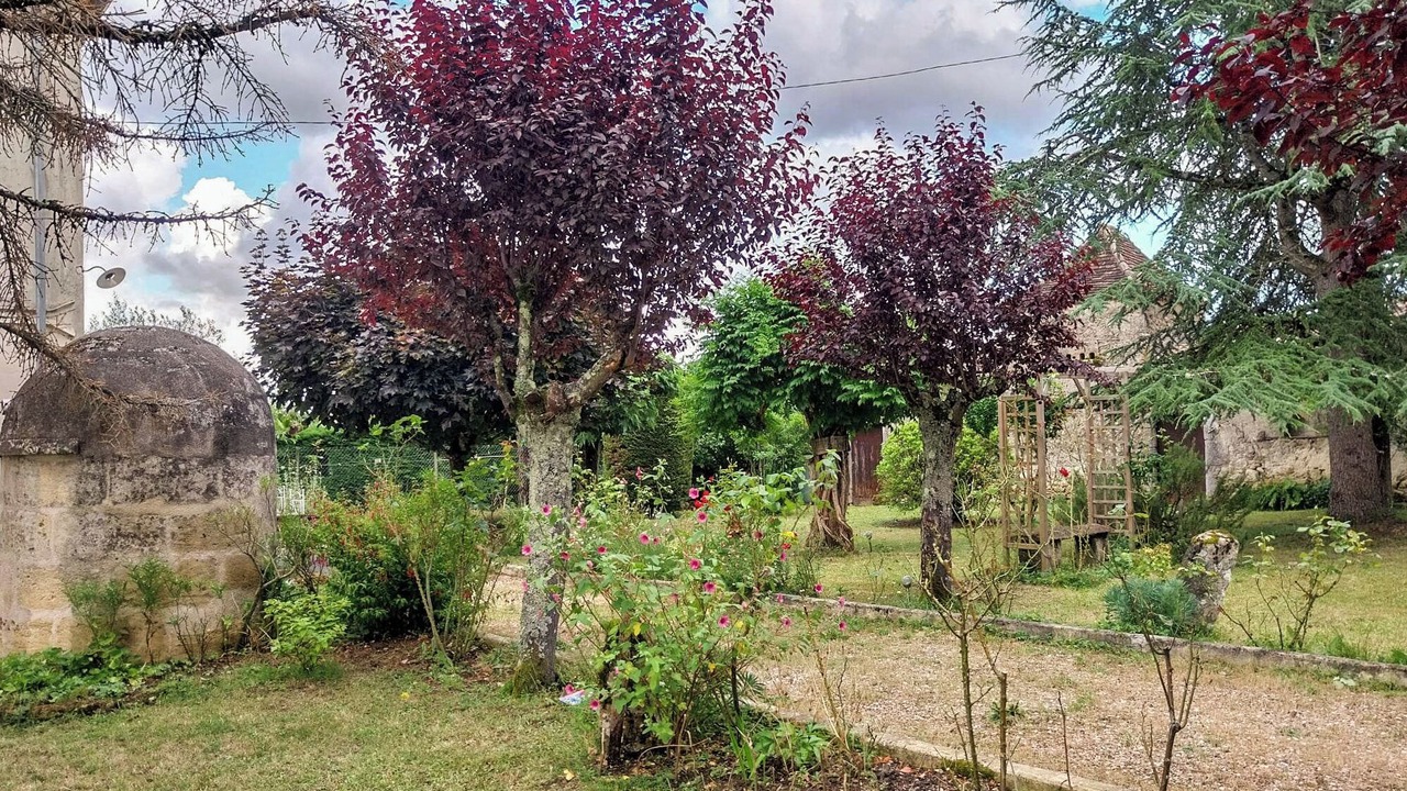Photo of Outdoor in Blasimon