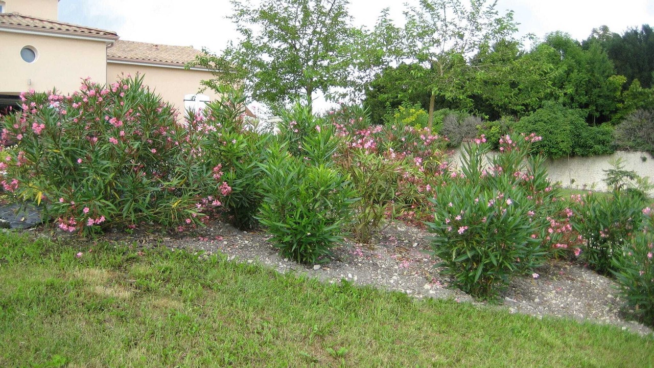 Photo of Outdoor in Segonzac