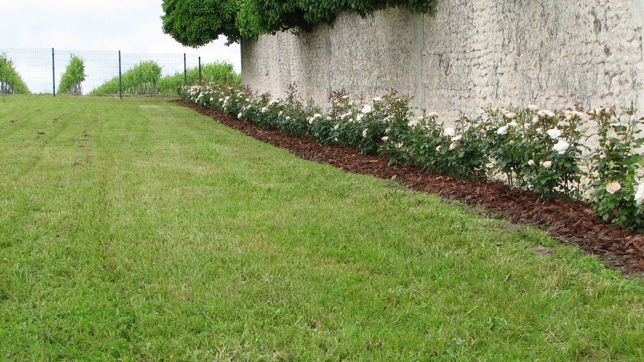 Photo of Outdoor in Segonzac