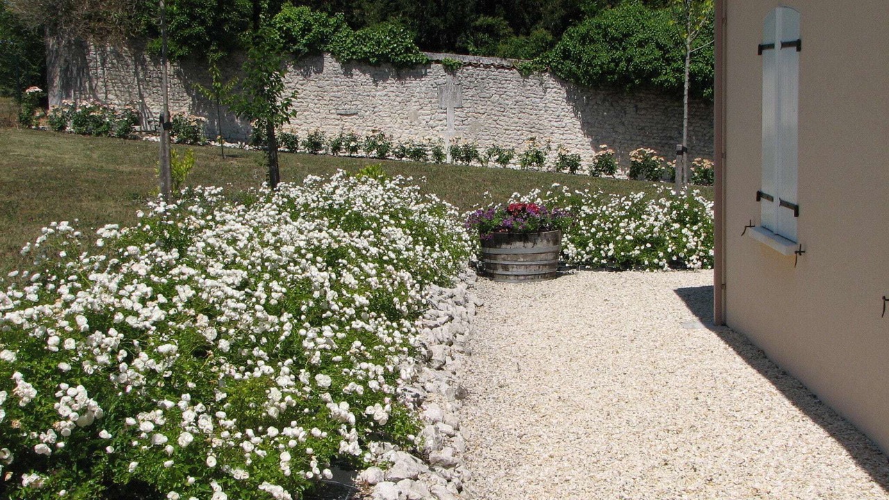 Photo of Outdoor in Segonzac
