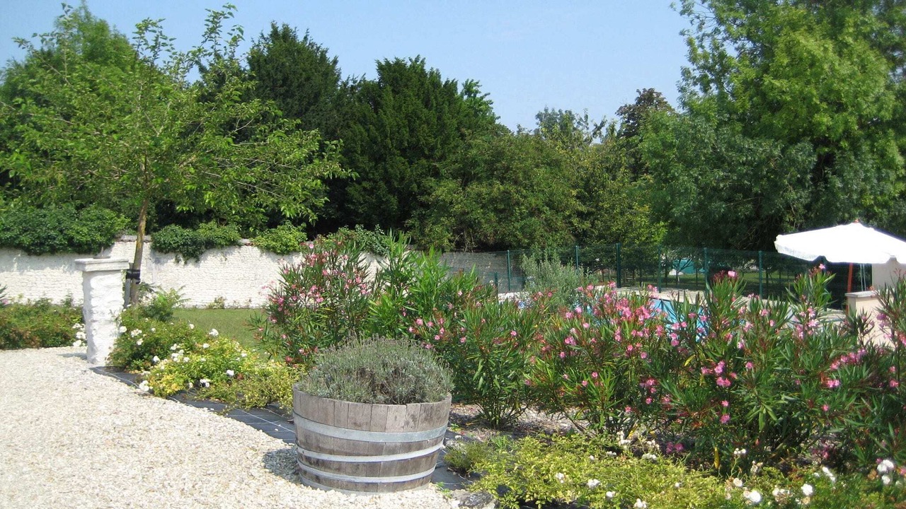 Photo of Outdoor in Segonzac