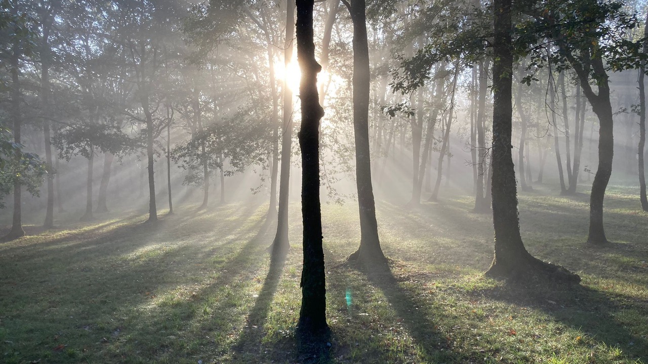 Photo of Outdoor in Rampieux