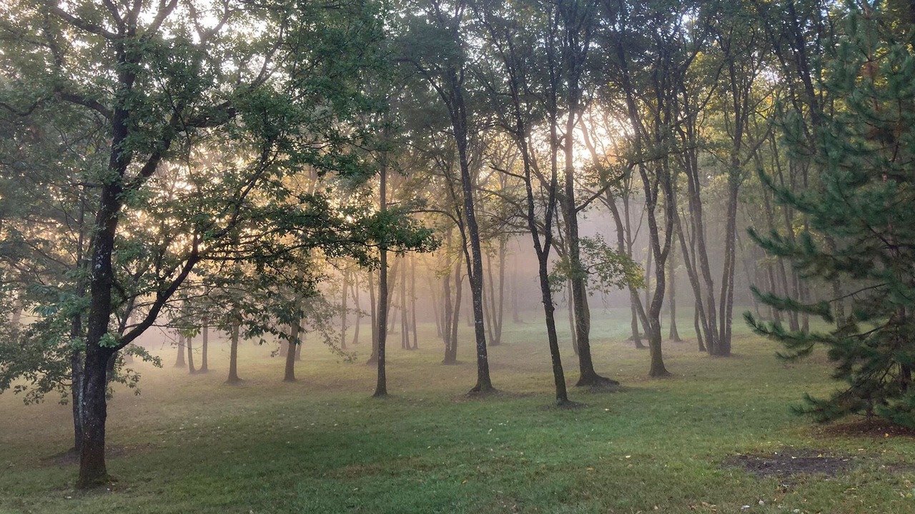 Photo of Outdoor in Rampieux