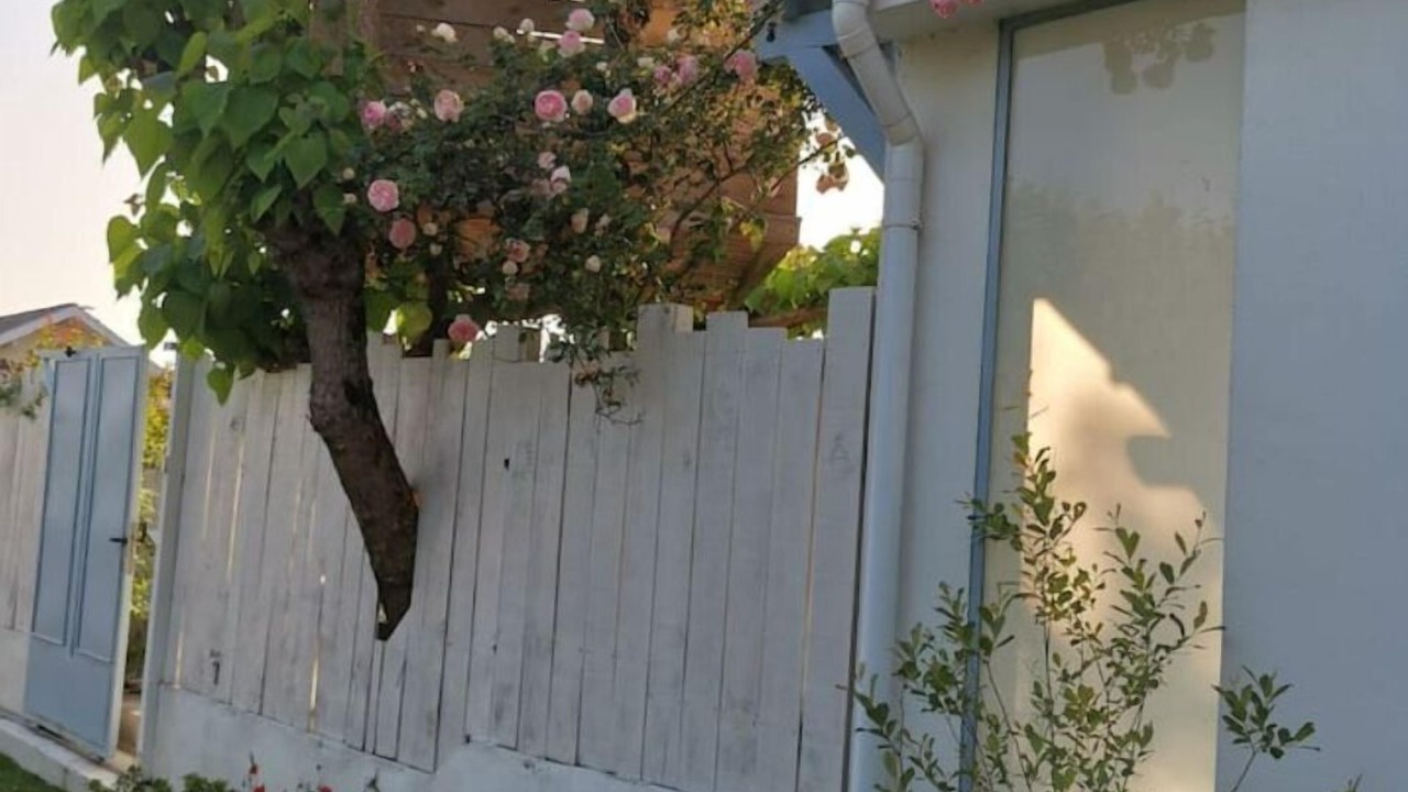 Photo of Outdoor in Taussat