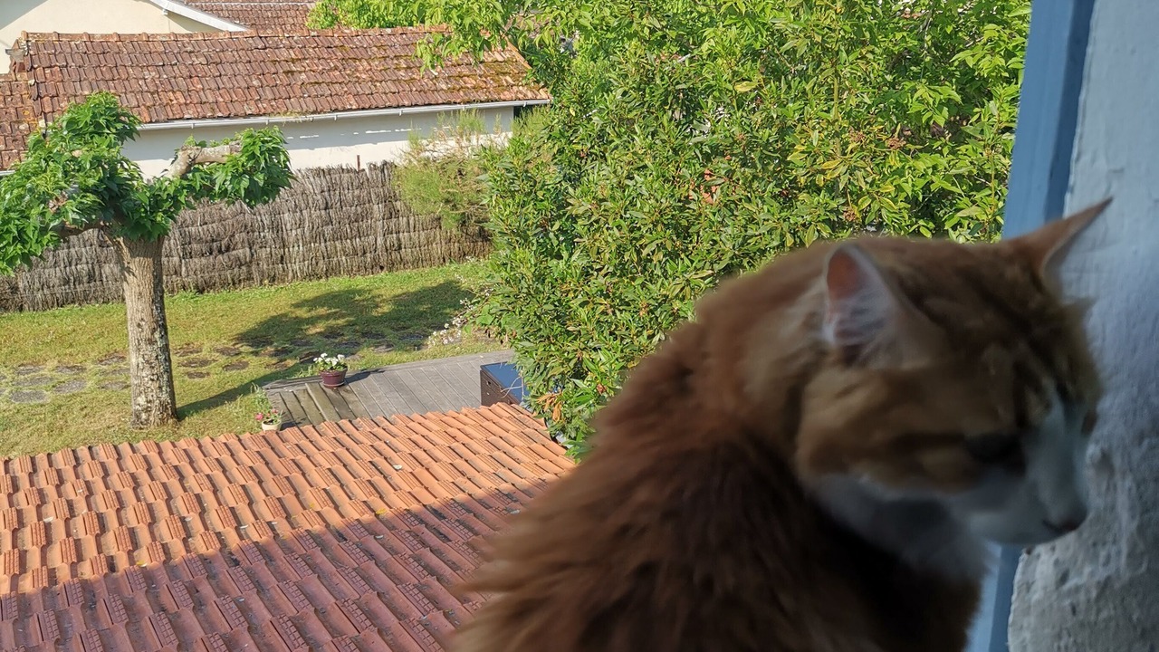 Photo of Outdoor in Taussat