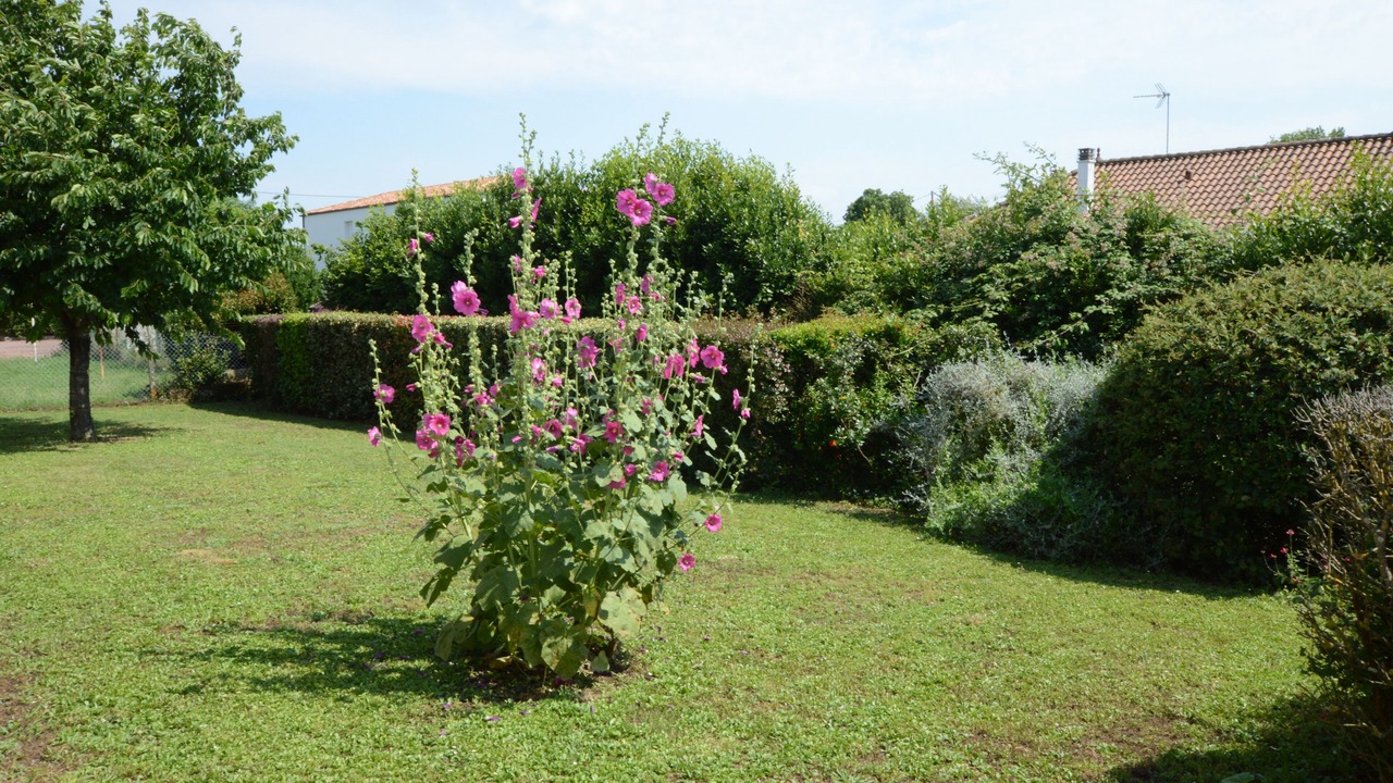 Photo of Outdoor in Marennes