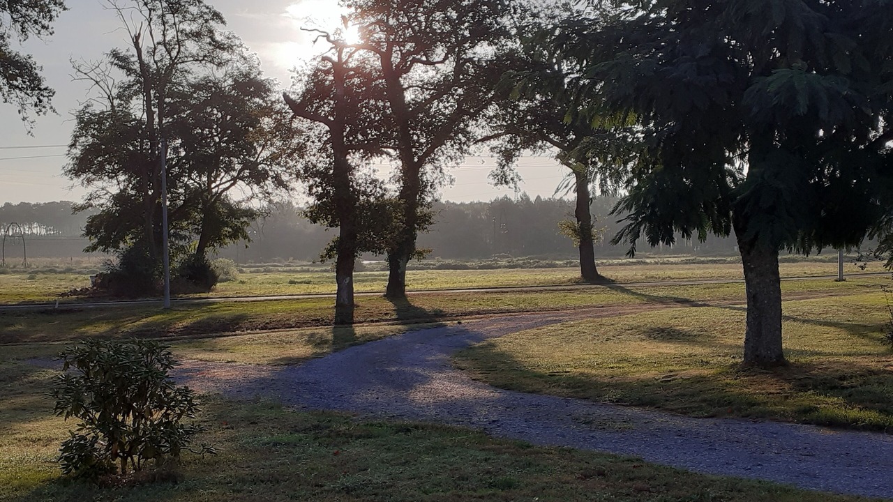 Photo of Outdoor in Laluque