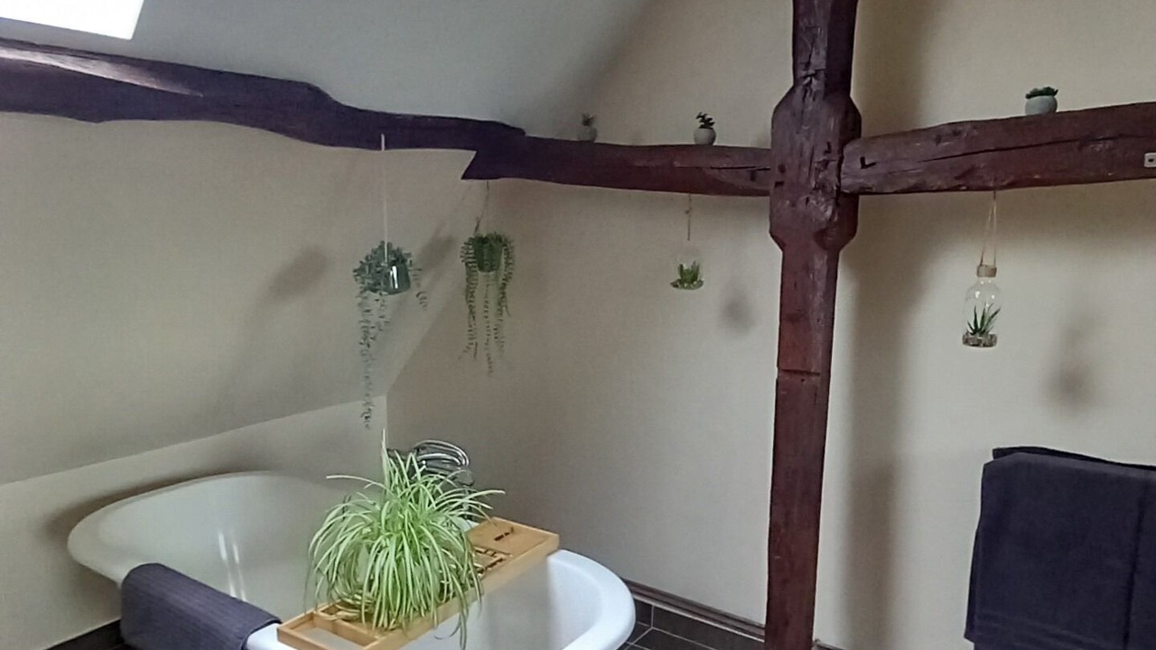 Photo of Bathroom in Mialet